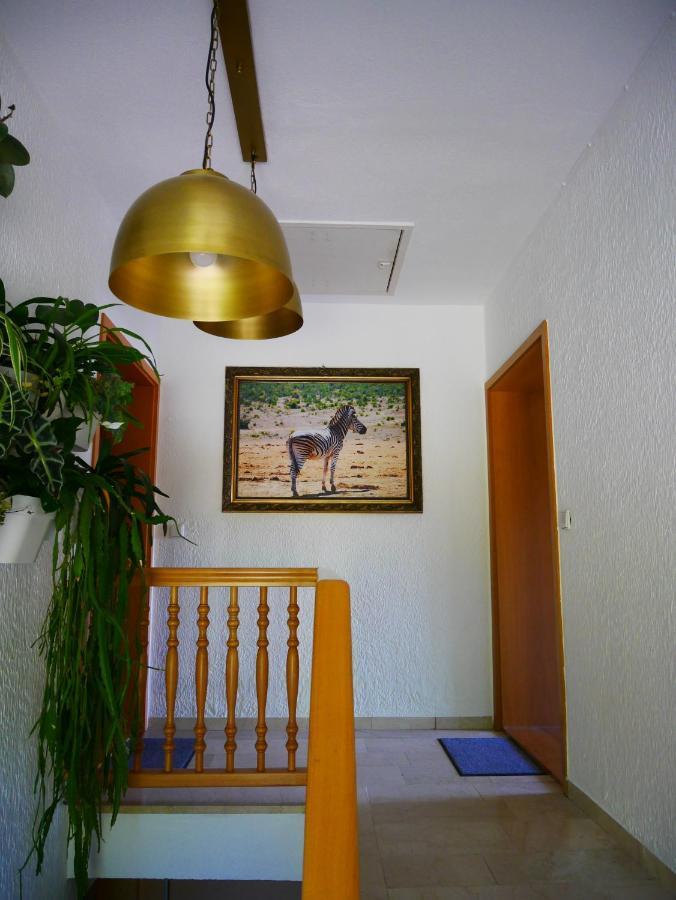 Apartment Eichkatzel *